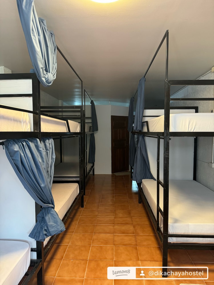 Basic Shared Dormitory photo 1