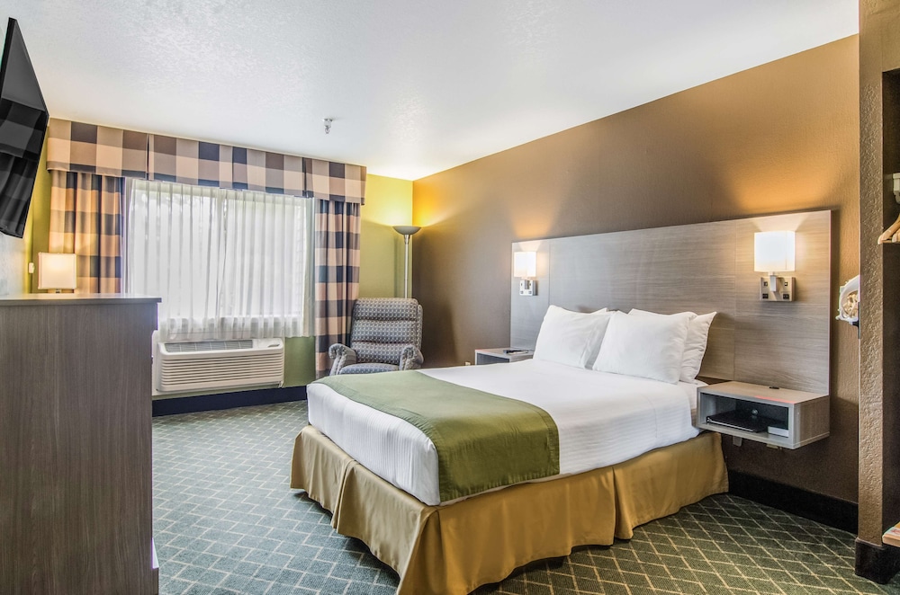 Premier Suite, 1 King Bed, Kitchenette photo 2