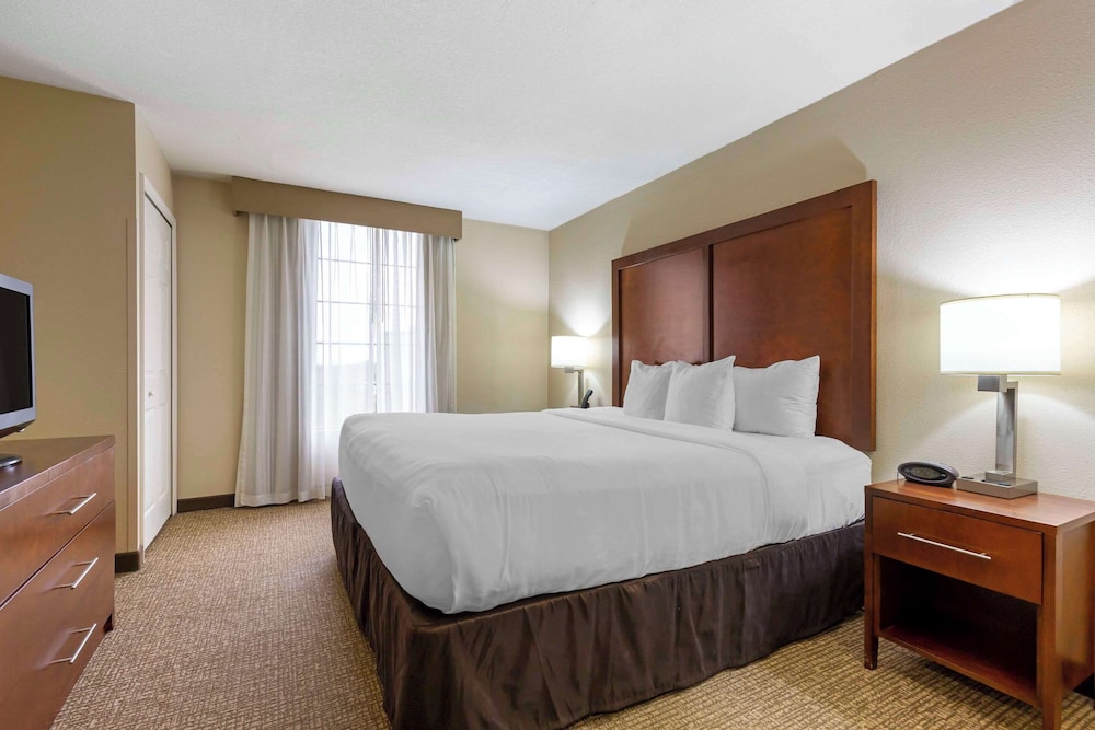 Suite, 1 King Bed with Sofa bed, Accessible, Non Smoking photo 3