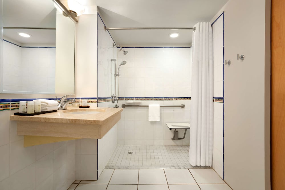 Suite, 1 King Bed, Accessible (Roll-In Shower) - Photo 3