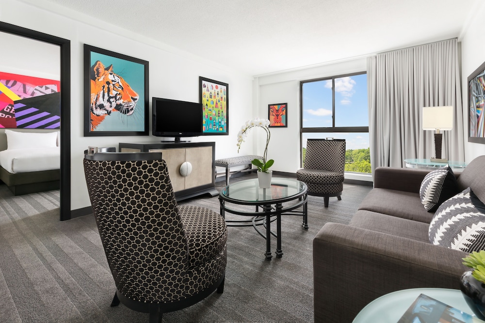 Studio Suite - Photo 6