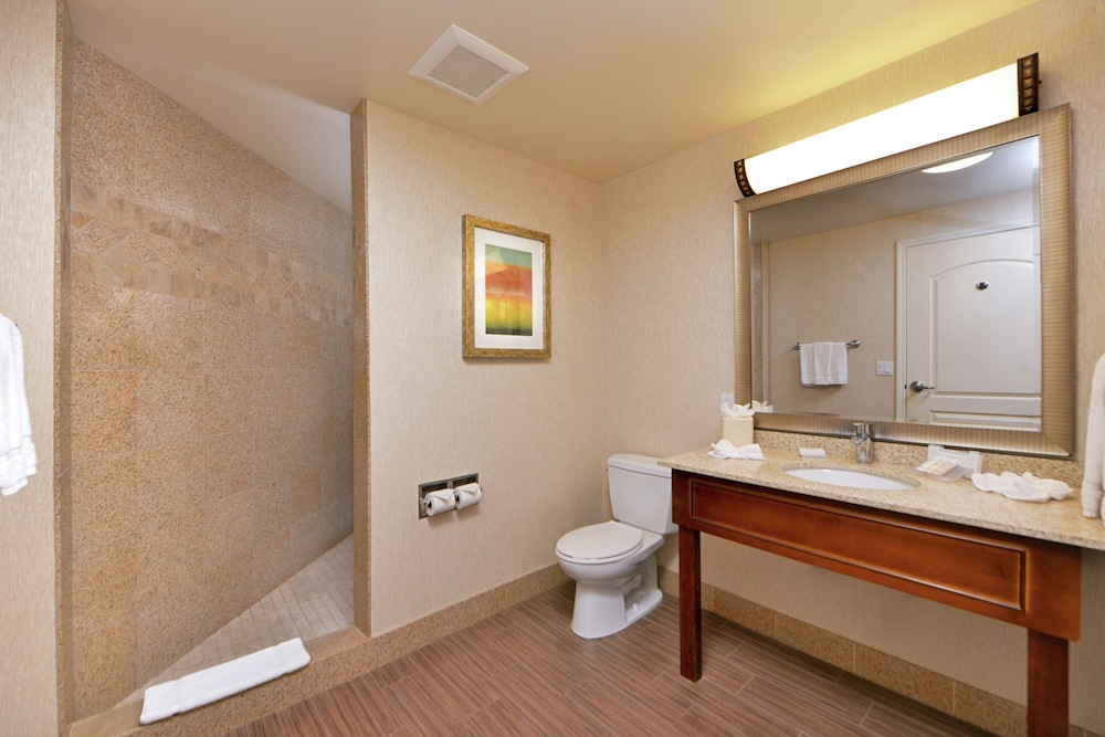 Room, 1 King Bed, Accessible - Photo 6