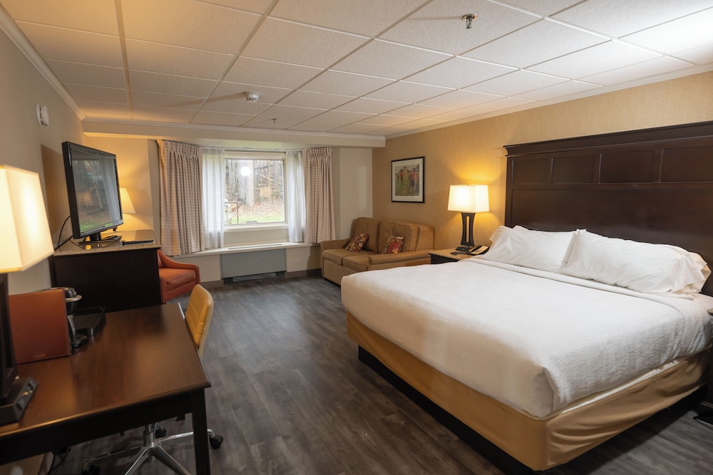 Room, 1 King Bed, Non Smoking photo 1