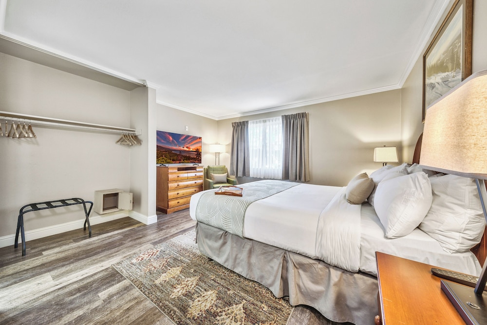 Deluxe Suite, 1 Bedroom - Photo 3