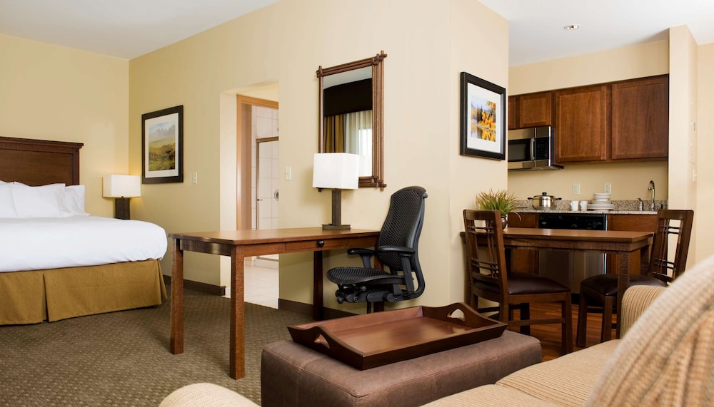 Studio Suite, 1 King Bed photo 3