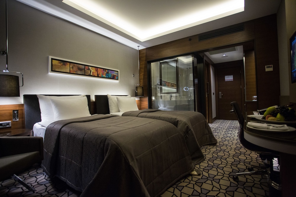 Deluxe Twin Room photo 1
