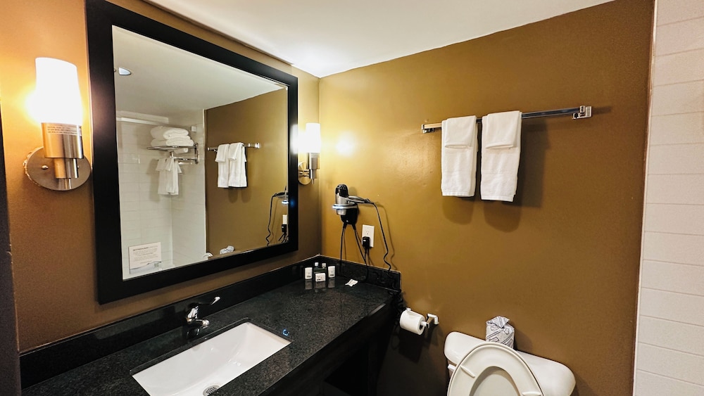 Room, Multiple Beds, Non Smoking thumbnail 5