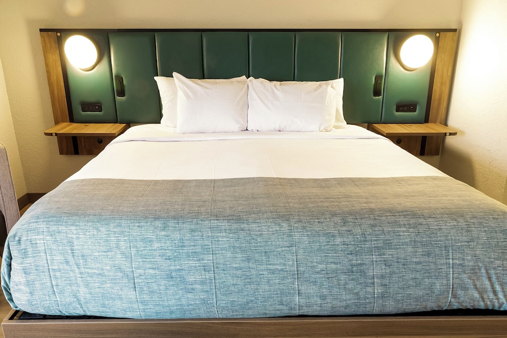 Deluxe Room, 1 King Bed, Non Smoking - Photo 8