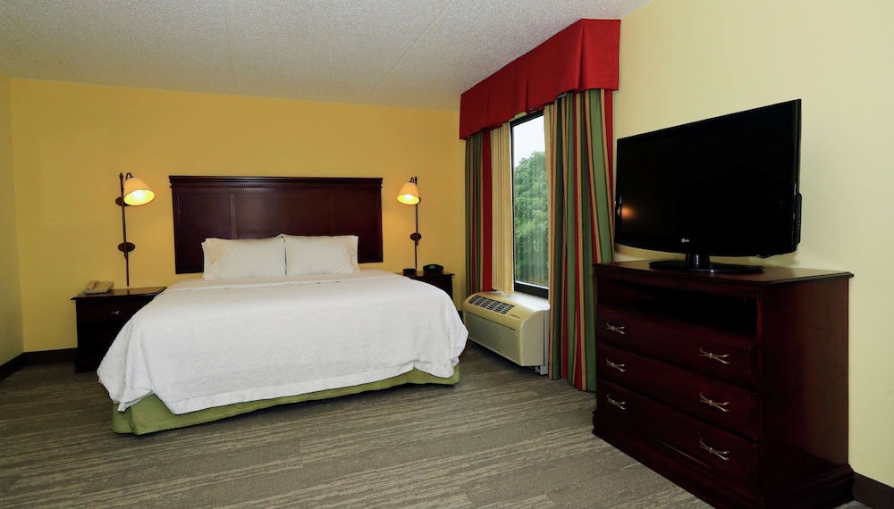 Room, 1 King Bed, Accessible, Non Smoking - Photo 1
