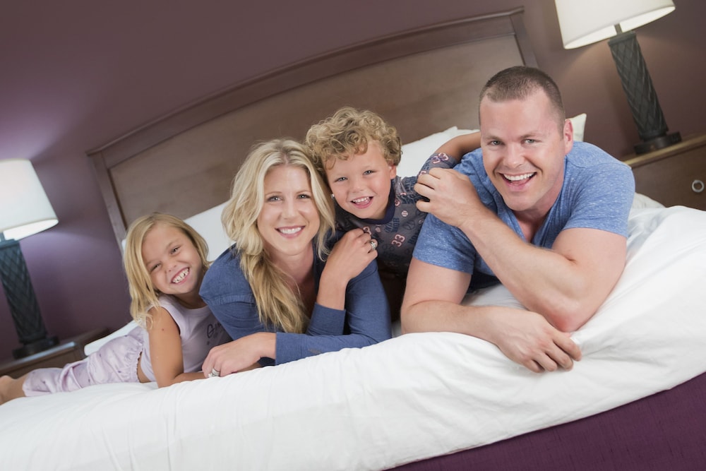 Deluxe Studio Suite, 1 King Bed, Accessible, Non Smoking (Mobility Accessible) photo 2