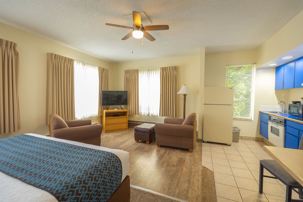 Deluxe Suite, Kitchen photo 1