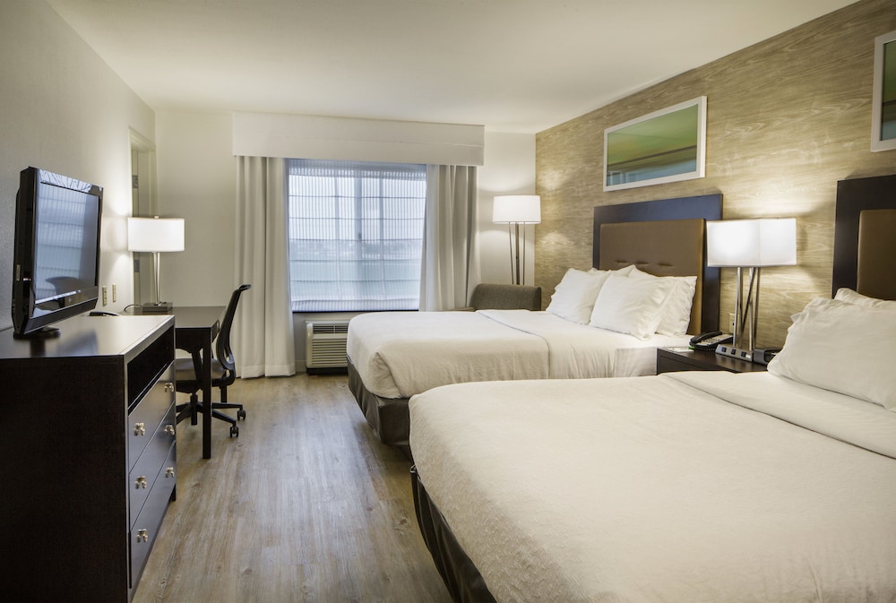 Suite, 1 Bedroom photo 2