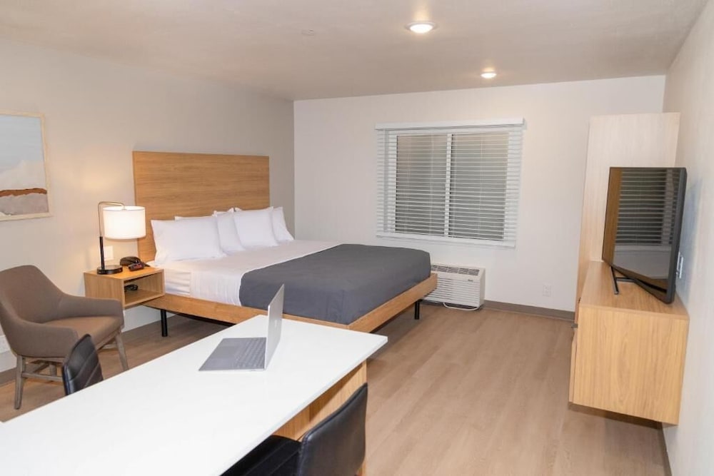 Studio Suite, 1 King Bed photo 1