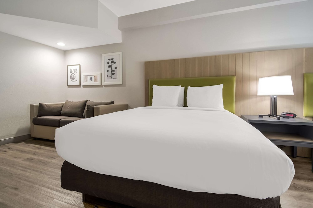 Studio Suite, Multiple Beds, Non Smoking - Photo 2