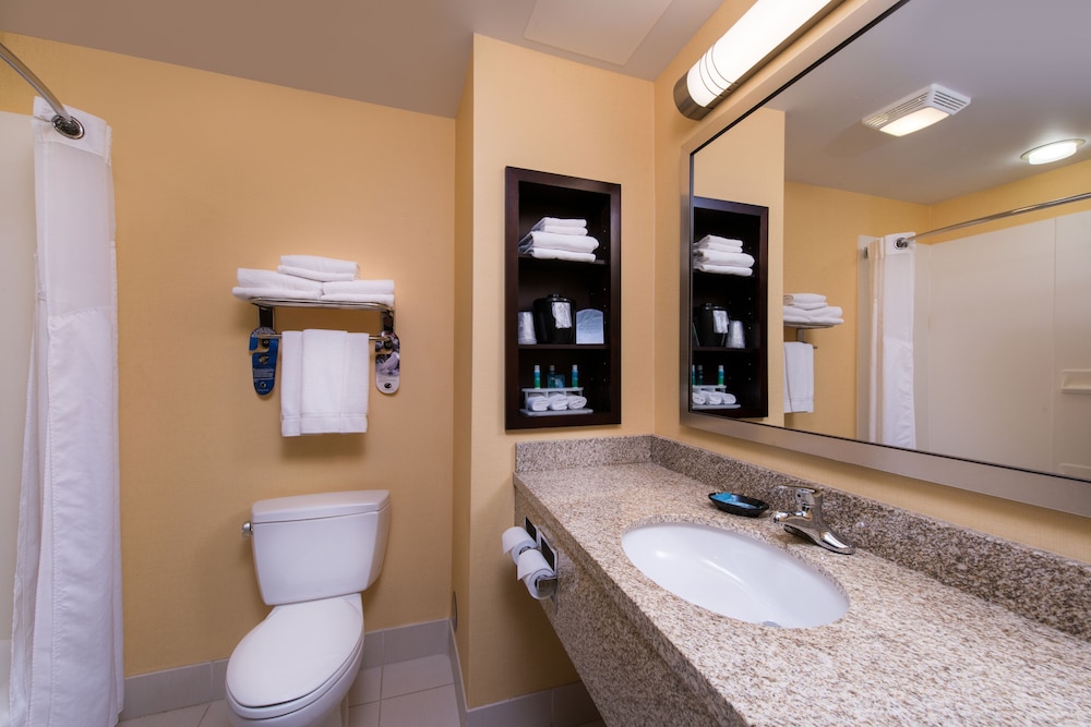 Standard Room, 1 King Bed, Roll-in Shower (Communications Accessible) - Photo 6