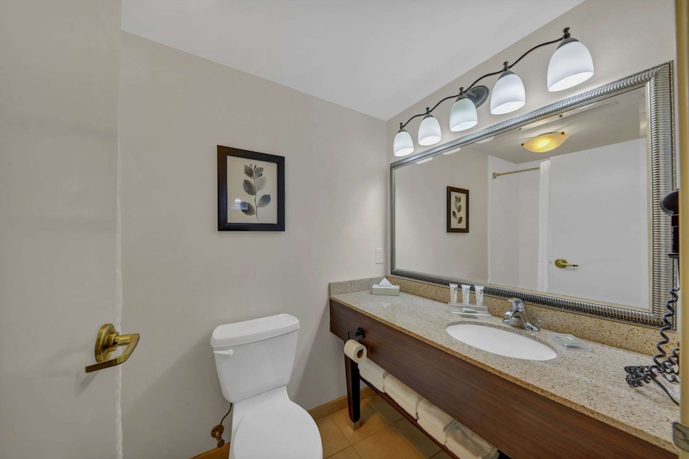 Studio Suite, Multiple Beds, Non Smoking - Photo 5