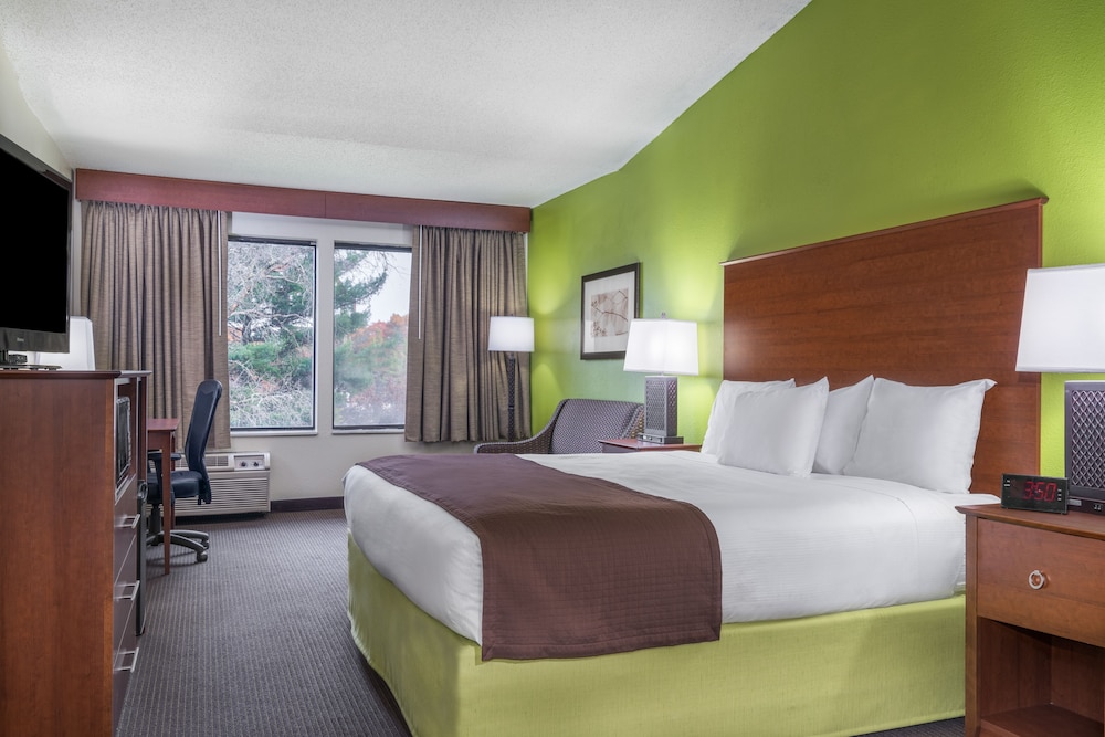 Deluxe Studio Suite, 1 King Bed, Accessible, Non Smoking (Mobility Accessible) photo 3