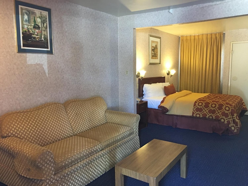 Room, 1 Queen Bed