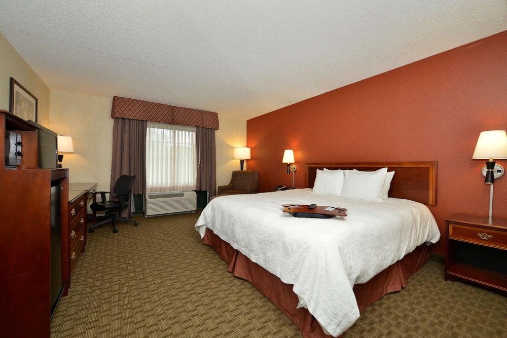 Room, 1 King Bed, Accessible (Roll-In Shower)