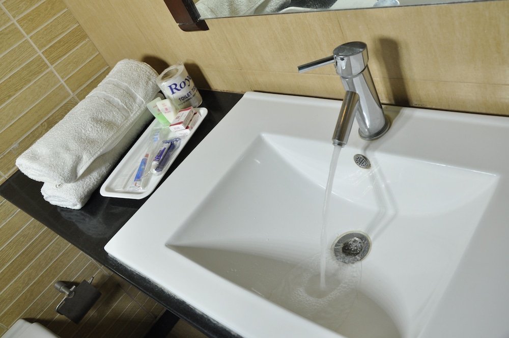 Deluxe Double or Twin Room photo 2