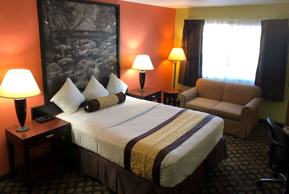 Room, 1 King Bed, Non Smoking photo 1