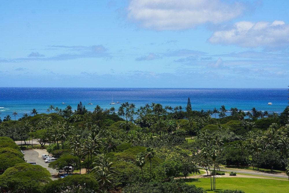 Platinum Direct Ocean View Terrace (Club Access) - Photo 1