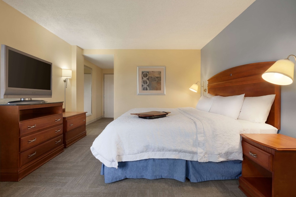 Accessible Room, 1 King Bed (Mobility Bathtub), photo 6