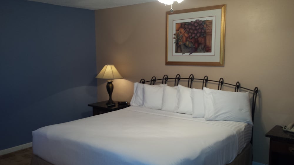 Premium Suite, 1 King Bed photo 1