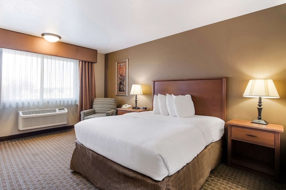 Room, 1 Queen Bed photo 1