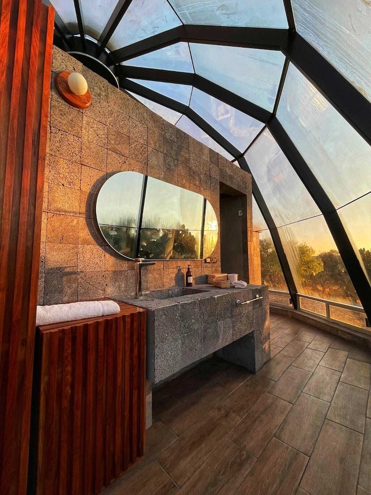 Panoramic Room, 1 King Bed, Mountain View photo 2