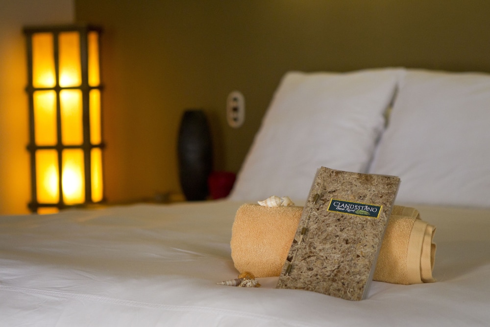Deluxe Double Room, 1 King Bed photo 3