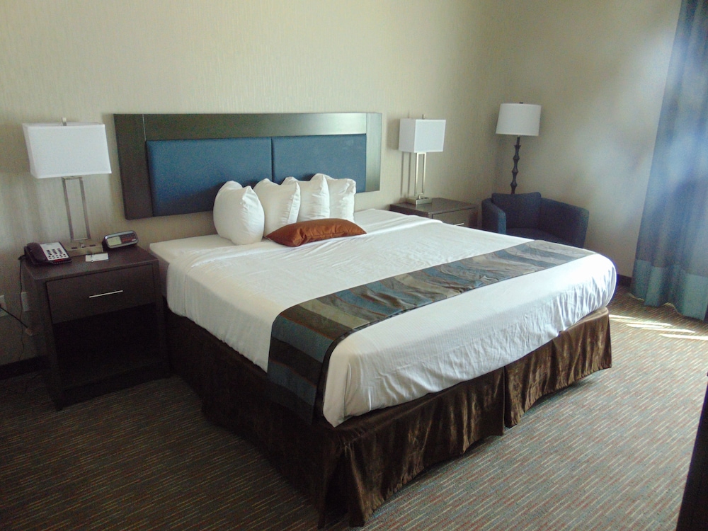 Suite, 1 King Bed, Non Smoking (One-Bedroom)
