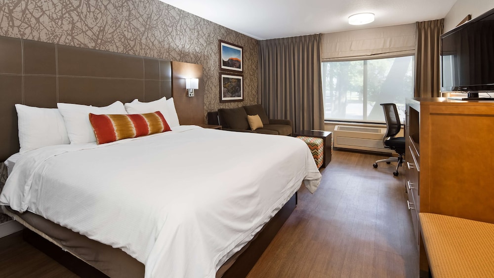 Standard Room, 1 King Bed, Accessible, Bathtub - Photo 1