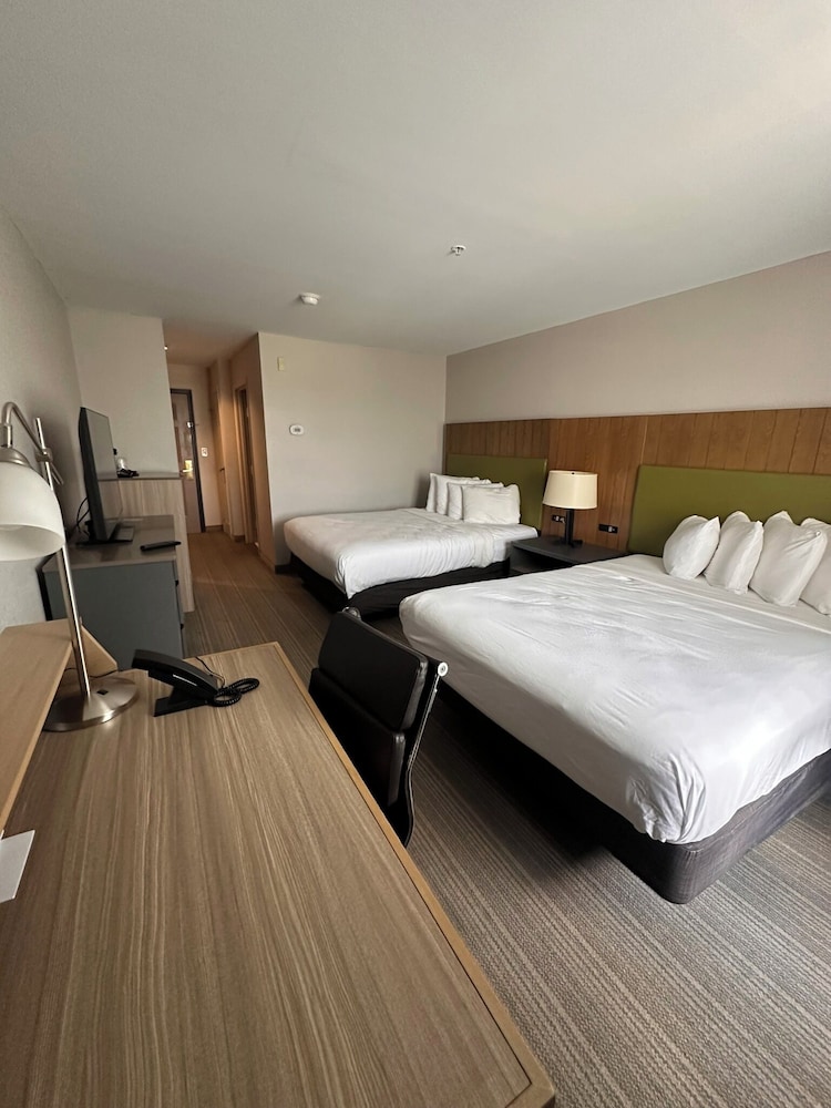Deluxe Studio Suite, Multiple Beds, Non Smoking photo 3