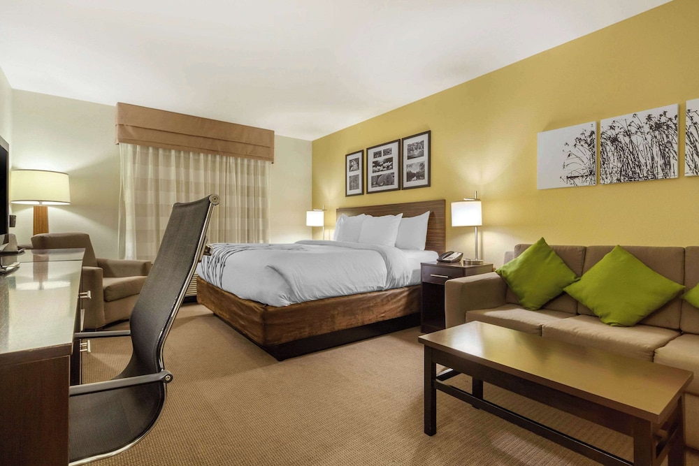 Suite, 1 King Bed with Sofa bed, Accessible, Non Smoking