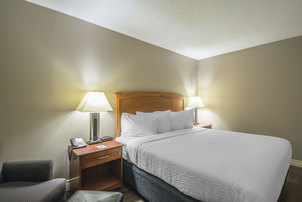 Business Room, 1 King Bed - Photo 10