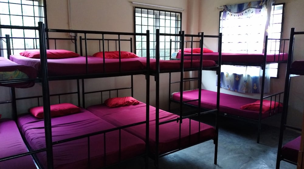 Shared Dormitory, Mixed Dorm photo 1