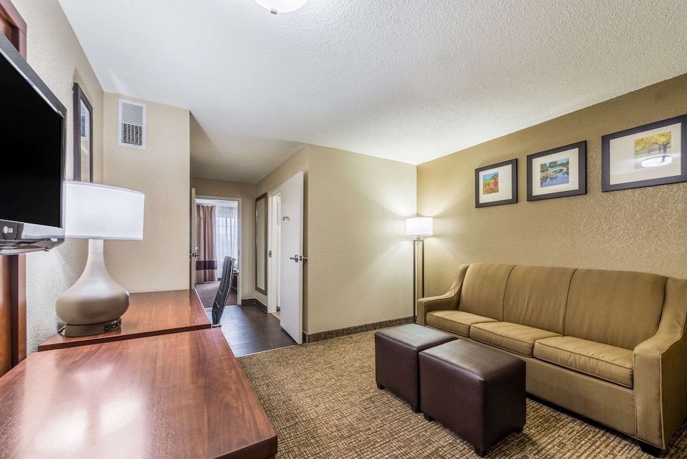 Suite, 1 King Bed with Sofa bed, Non Smoking (2 Person Sofa Bed) - Photo 3