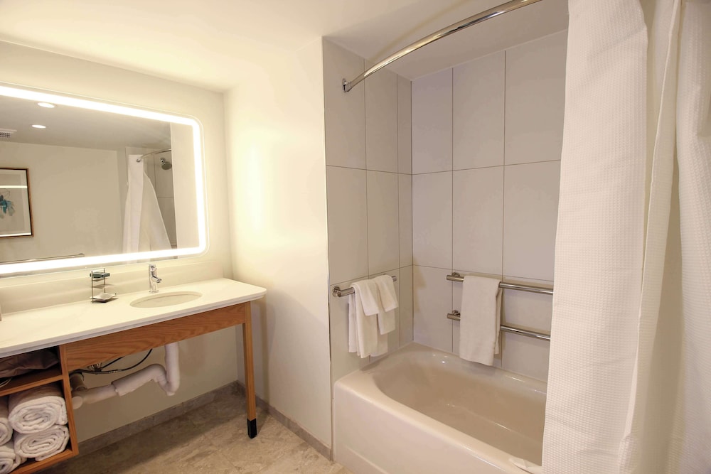 Room, 1 King Bed, Accessible (Roll-In Shower) photo 2