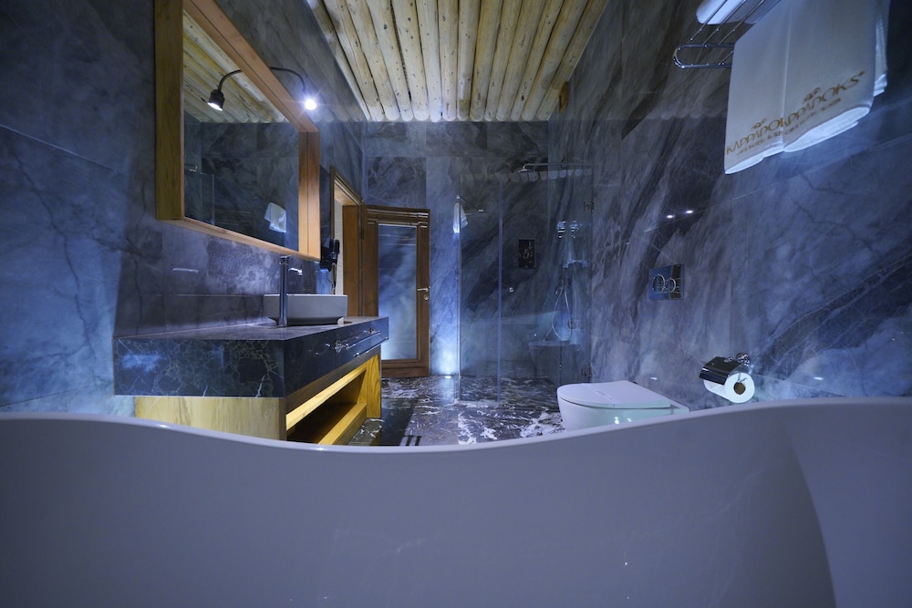 Deluxe Room - Photo 7