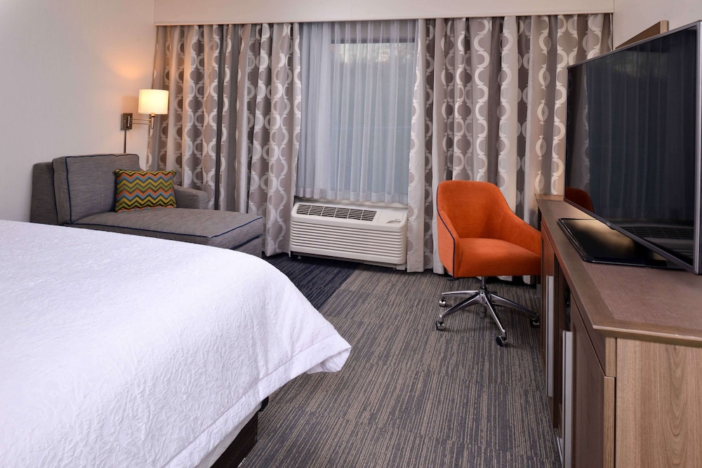 Room, 1 King Bed with Sofa bed, Accessible, Non Smoking photo 3
