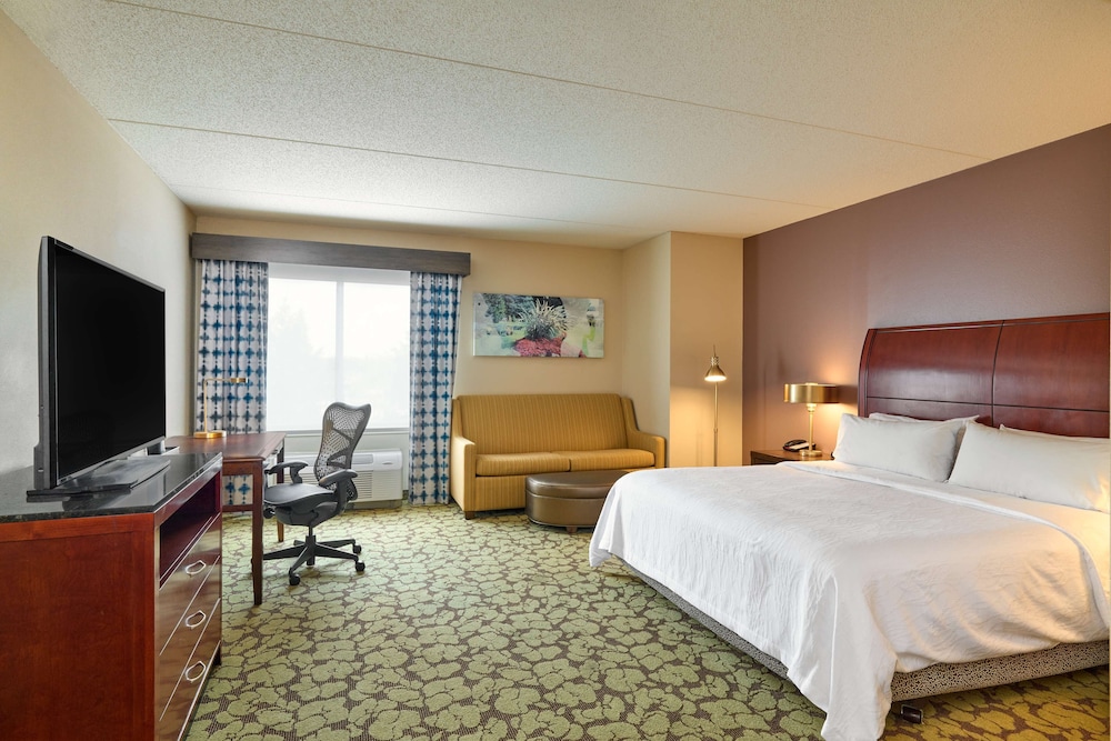 Room, 1 King Bed, Accessible - Photo 4