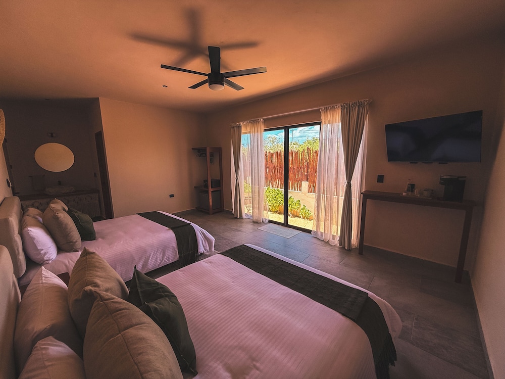Deluxe Twin Room, Garden View photo 1