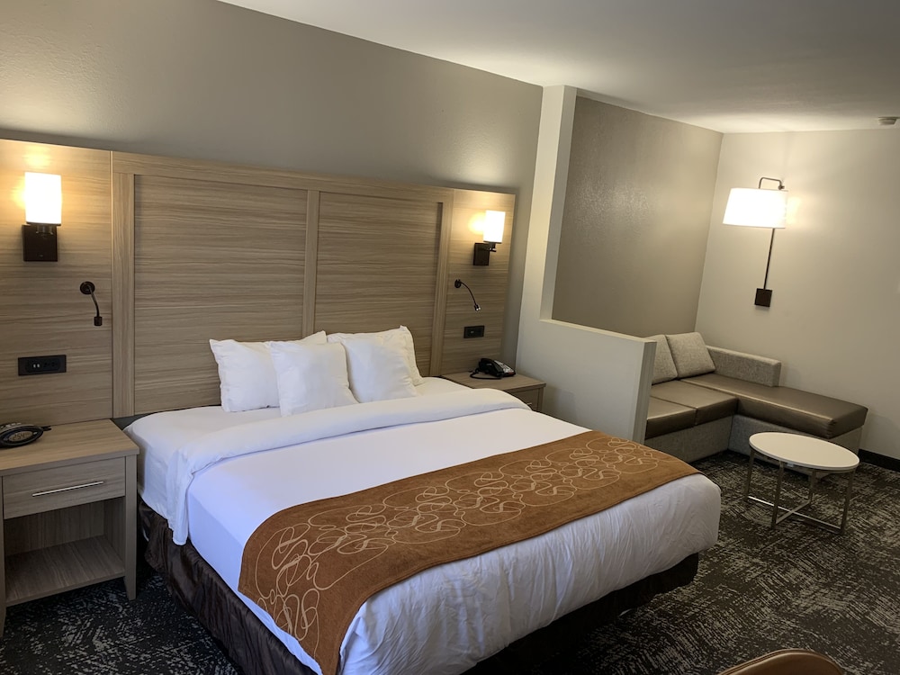 Suite, 1 King Bed, Non Smoking - Photo 3
