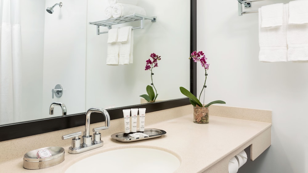 Studio Suite - Photo 15