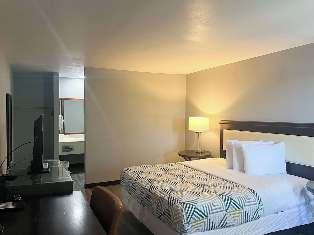 Deluxe Room, 1 King Bed, Non Smoking - Photo 5