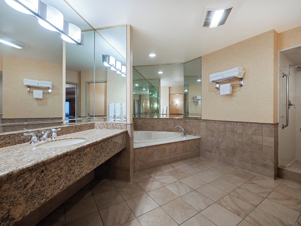 Suite, 1 Bedroom - Photo 4