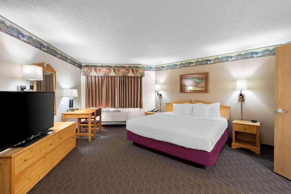 Standard Room, 1 King Bed, Non Smoking