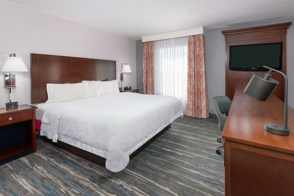 Studio, 1 King Bed, Accessible (Roll-In Shower)