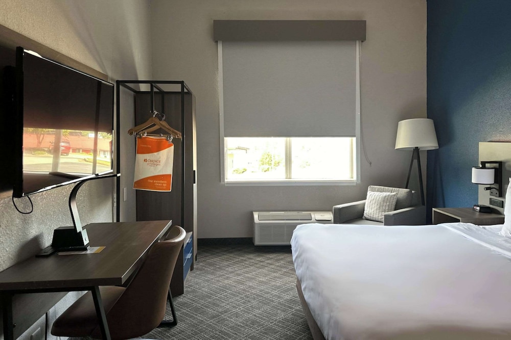 Business Room, 1 King Bed, Accessible, Non Smoking - Photo 4